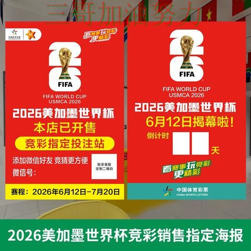 世界杯投注数据分析告诉你：怎么玩的正确方式（世界杯赛事中心）